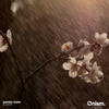 sakura tears. - Blinker&Onism.