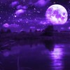 moon - lil txte