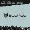 Aaru (UDM Radio Edit) - Luke Terry