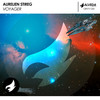 Voyager (Original Mix) - Aurelien Stireg