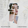 Billion Reasons - Lorelei Marcell