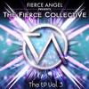 The Best of You (Bassmonkeys Club Mix) - Fierce Collective&Peyton