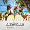 Al Natural(From Jamaica) (Jam Version) - La Pozze Latina&Dane Ray