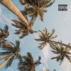 T.D.S(ThoughtsDuringSummer) (Explicit) - AP3X