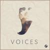 Voices(with Midnight Wolves)(feat. Matt Felix) - BassBears&Midnight Wolves&Matt Felix