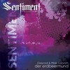 Der Erdbeermund (Original Mix) - Disscord&Maik Conrath