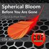 Before You Are Gone (Break Mix) - Spherical Bloom