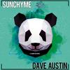 Sunchyme (Dave Austin NRG Radio Edit) - Dave Austin