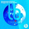 Wunderschön (Lukas Kleeberg Remix) - Lukas Kleeberg&Shugga&Elaine Winter