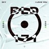 I Love You - ZKY