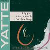 Bigger the Punch I'm Feeling(feat. Josh Menashe) - Yatte&Josh Menashe