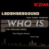 Who Is (The Chicago Mixes) (Steve Miggedy Maestro Vocal Mix) - LadyMarySound&James Thompson