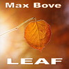 Leaf - Max Bove