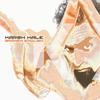 Louder then Bombs - Karsh Kale