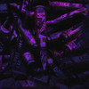 CHVXNS CHAXNS CHAINZ (Explicit) - SFXCBRNX&The Lovely Bones