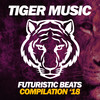 Tribal Funk (Original Mix) - Empty Groovers