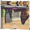 Rebirth (Original Mix) - Phandelic&Univezz