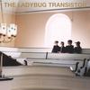 Please Don't Be Long - The Ladybug Transistor