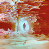 Dreaming - Rootkit&Cammie Robinson
