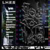 Flow Postmortem(feat. Punknobru) - Mashine Kid&Punknobru