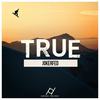 True (Original Mix) - JokerFed
