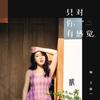 只对你有感觉 - 鞠文娴