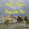 Days Like This (Original Mix) - Milk&Vinegar