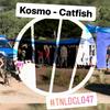 Catfish - Kosmo