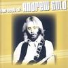 Lonely Boy - Andrew Gold