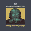Deep Into My Sleep (Original Mix) - Harold Matthews Jr&Black Sonix