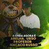 A ONDA AGORA É ABELHA URSO PROFESSOR MACACO RUSSO - lc santanna&Luiz Claudio costa Santanna