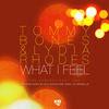 What I Feel (Terry Lee Brown Jr. Mix) - Tommy Bones&Lydia Rhodes