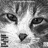 Night On Fire (ETM Remix) - Statickman
