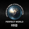 Perfect World (Lauer & Canard Remix) - DJ Raymundo&Gabriel & Castellon