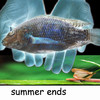 Summer Ends (Explicit) - Alteria&Kitz&THRML&Himiko&yametsu&01kon