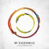 Lucid Dream (Original Mix) - Eigenwijs