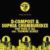 You Took It All feat. Yasmine Azaiez - D-Compost&Sophia Chumburidze