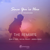 Since You're Here (Skyline Project Remix) - SixthSense&Skyline Project