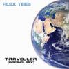 Traveller - Alex TeeB&Oleksandr Chernenko