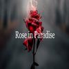 Rose In Paradise - Tom James&Ted Patton