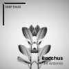 Bacchus - Till Antonio