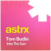 Into the Sun - Tom Budin