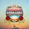 After Dark - Joe Wright