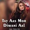 Tay Aas Mor Diwani Aal - Roshan Sahu
