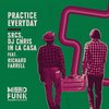 Practice Everyday (Radio Edit) - SRCS&DJ Chris In La Casa&Richard Farrell