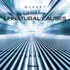 Unnatural Causes (Original Mix) - Blakey