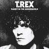 Tame My Tiger (2006 Mix) - T. Rex