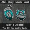 The Girl You Lost in Spain - David Ardila