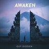 Awaken - Guy Didden