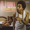 Intro - Chillest Illest